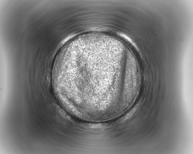 X0000084601025200703161814