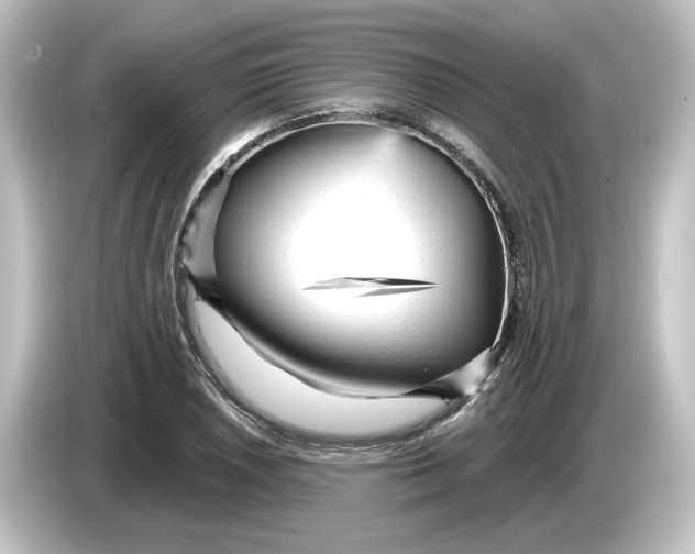 X0000084601026200703161814