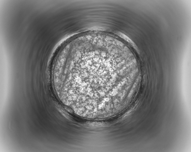 X0000084601027200703161814