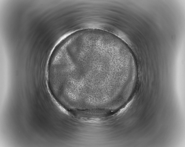 X0000084601028200703161814