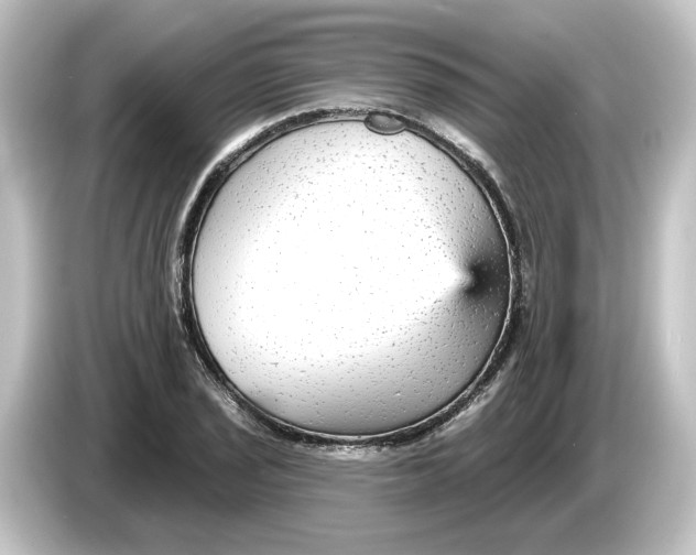 X0000084601029200703161814