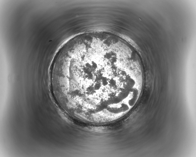 X0000084601031200703161814