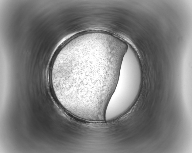 X0000084601032200703161814