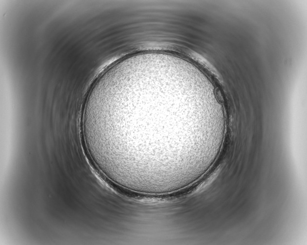 X0000084601033200703161814