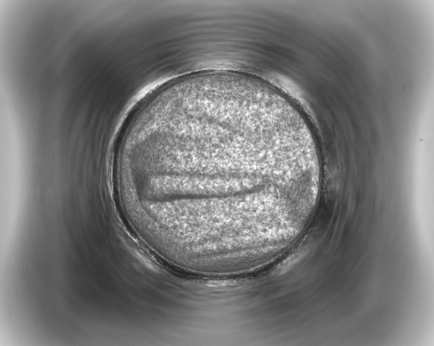 X0000084601035200703161814