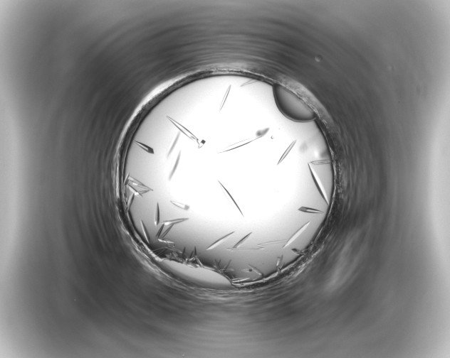 X0000084601036200703161814