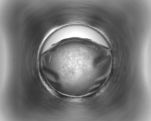 X0000084601038200703161814