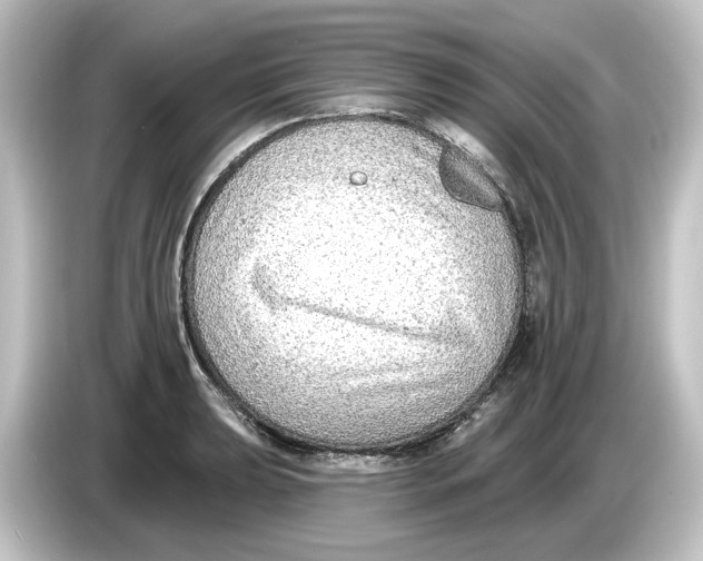 X0000084601039200703161814