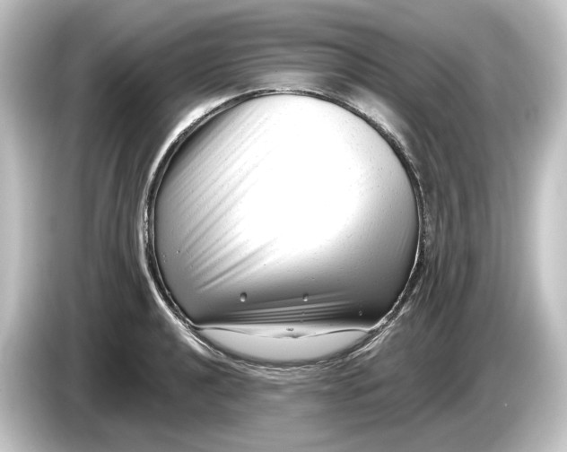 X0000084601040200703161814