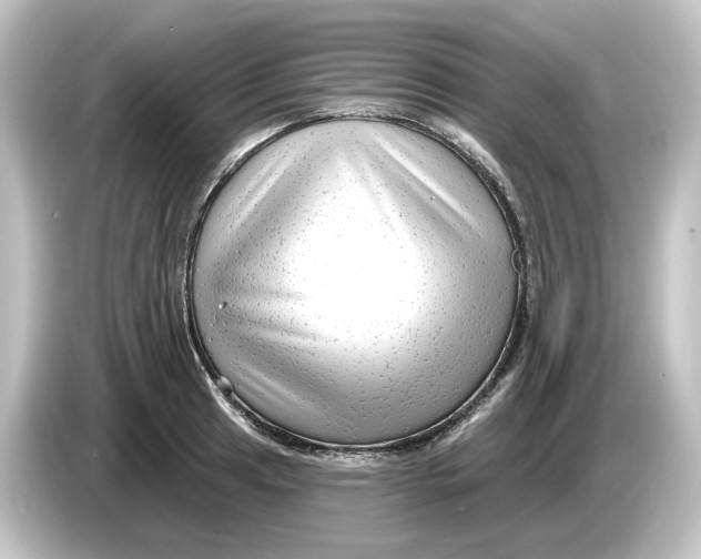 X0000084601041200703161814