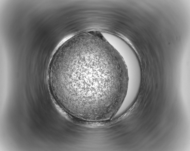 X0000084601042200703161814