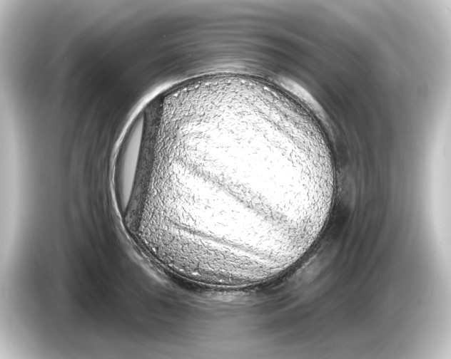 X0000084601043200703161814