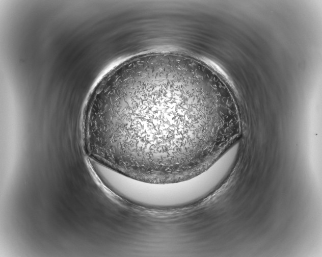 X0000084601046200703161814