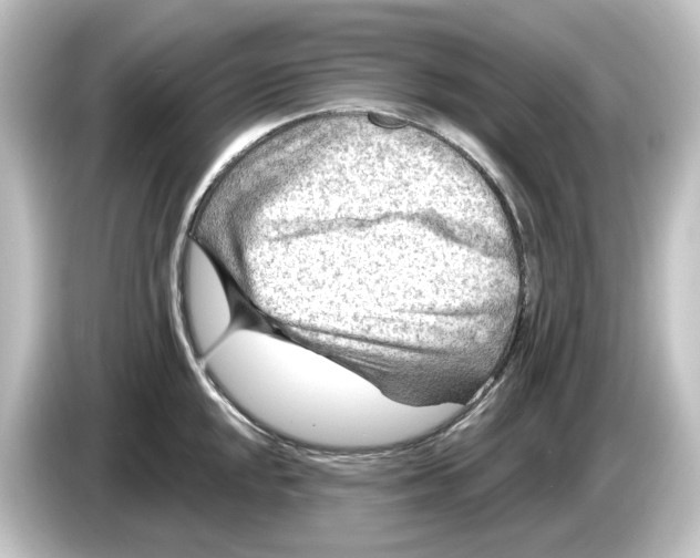 X0000084601048200703161814