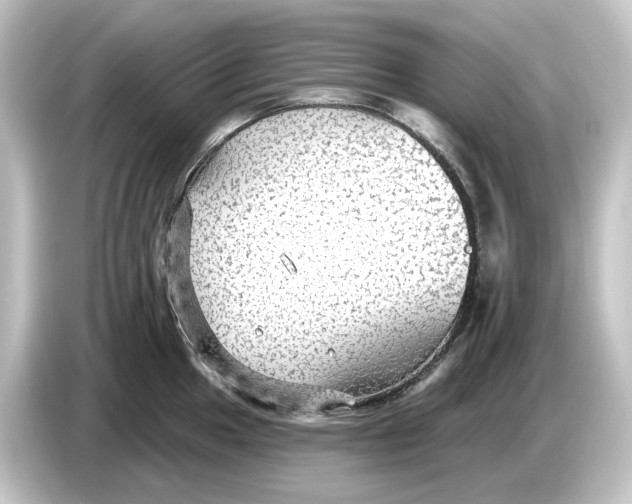 X0000084601049200703161814