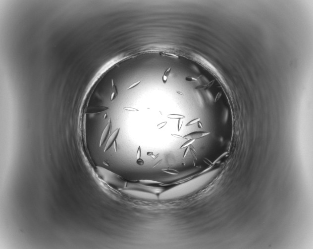 X0000084601050200703161814