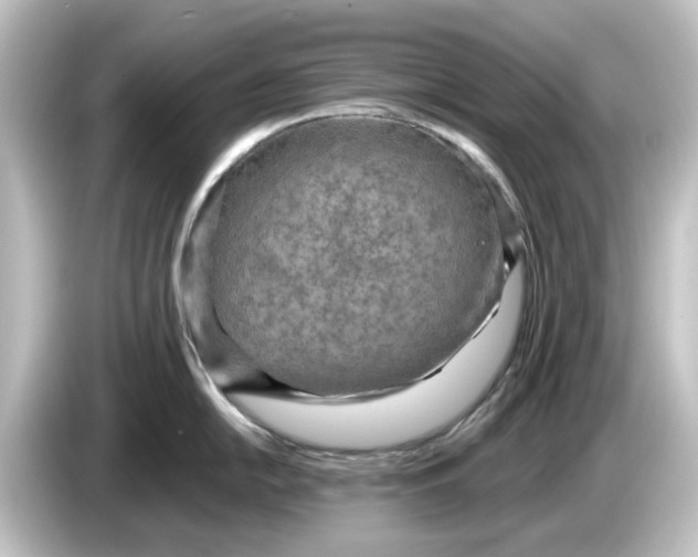 X0000084601054200703161814