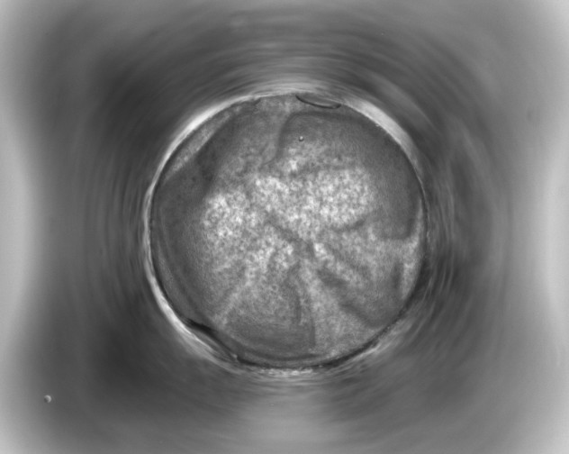 X0000084601055200703161814