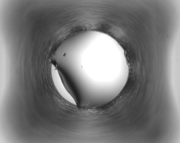 X0000084601058200703161814