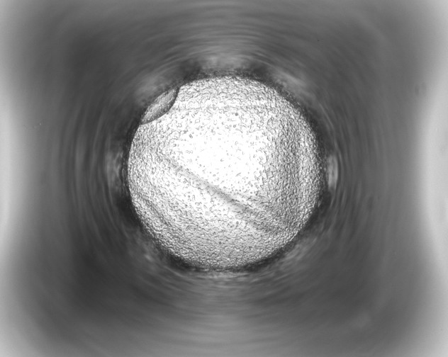 X0000084601059200703161814