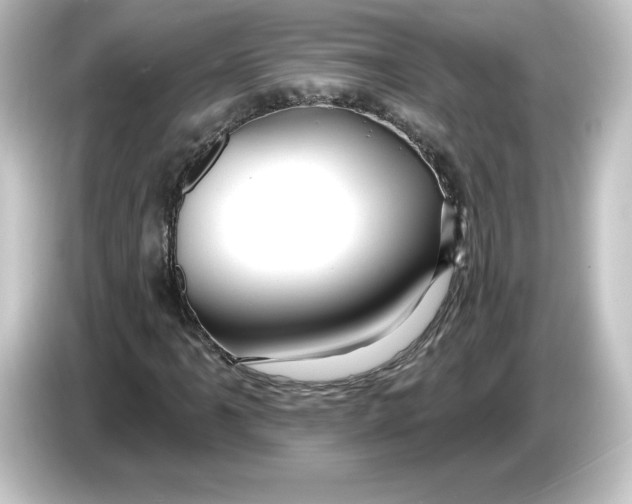 X0000084601061200703161814