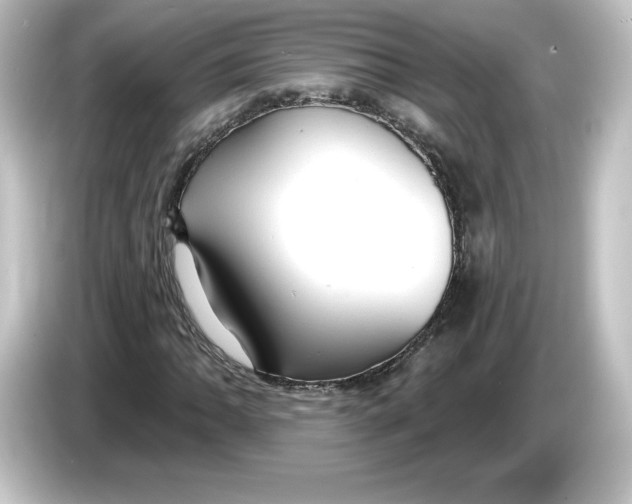 X0000084601062200703161814