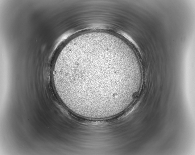 X0000084601067200703161814