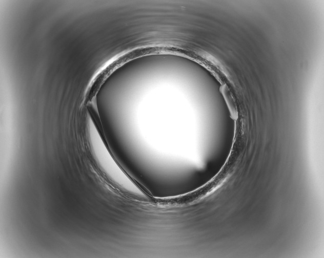 X0000084601069200703161814