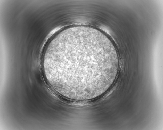 X0000084601074200703161814