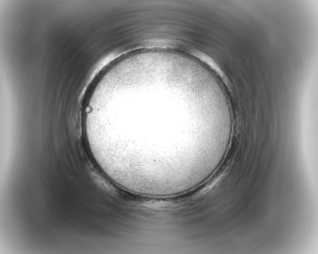 X0000084601075200703161814