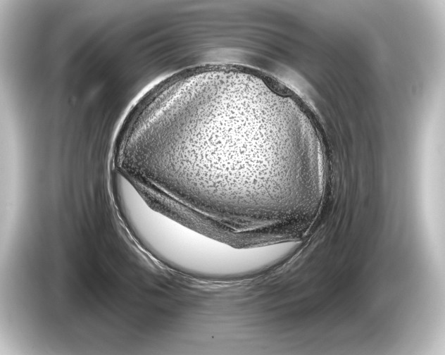 X0000084601076200703161814