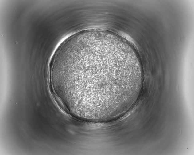 X0000084601079200703161814