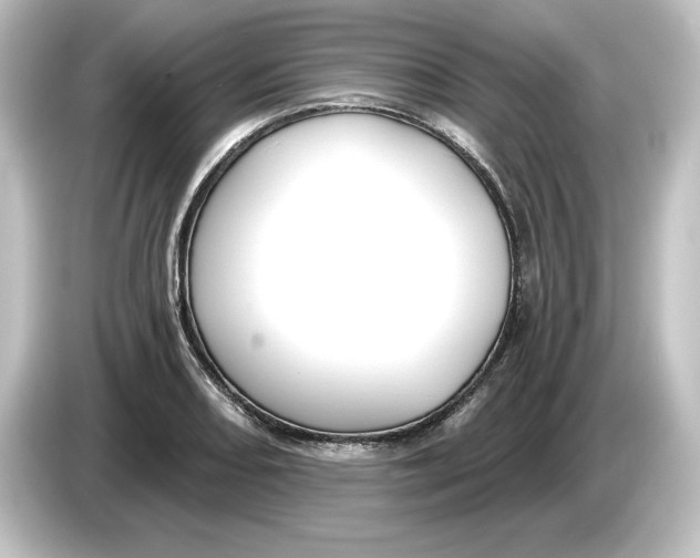 X0000084601082200703161814