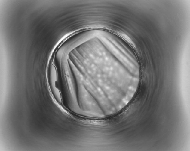 X0000084601084200703161814