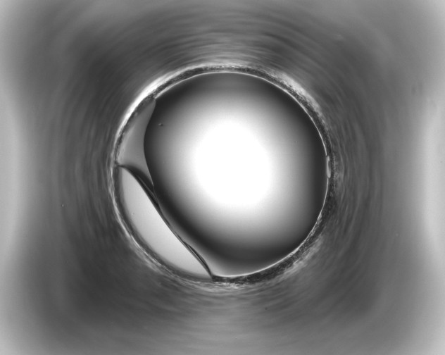 X0000084601085200703161814