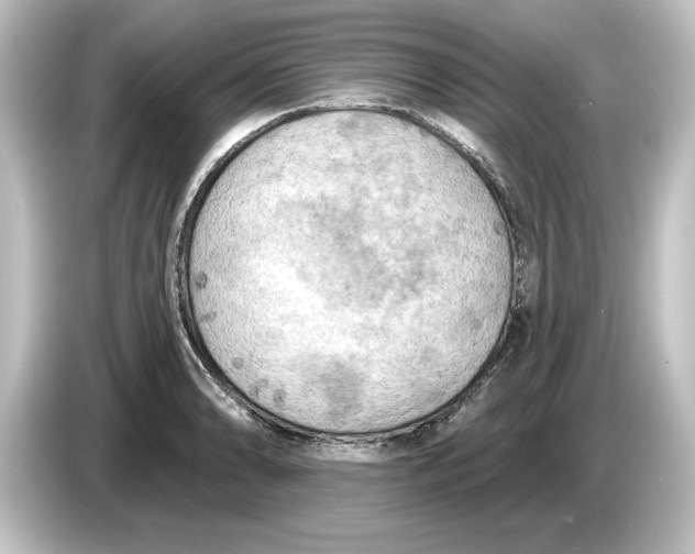 X0000084601086200703161814