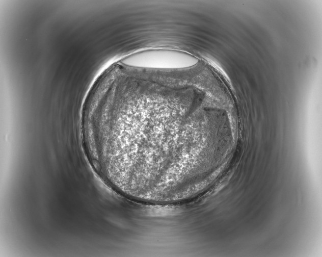 X0000084601087200703161814