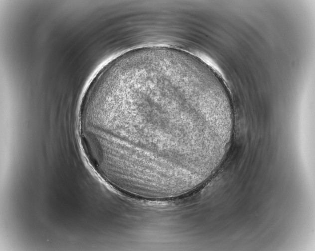 X0000084601088200703161813