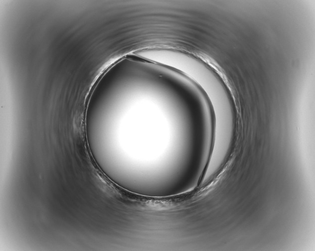 X0000084601089200703161813