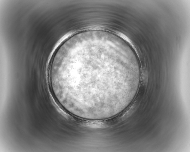 X0000084601090200703161813