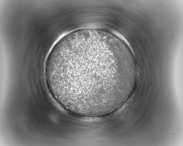 X0000084601091200703161813