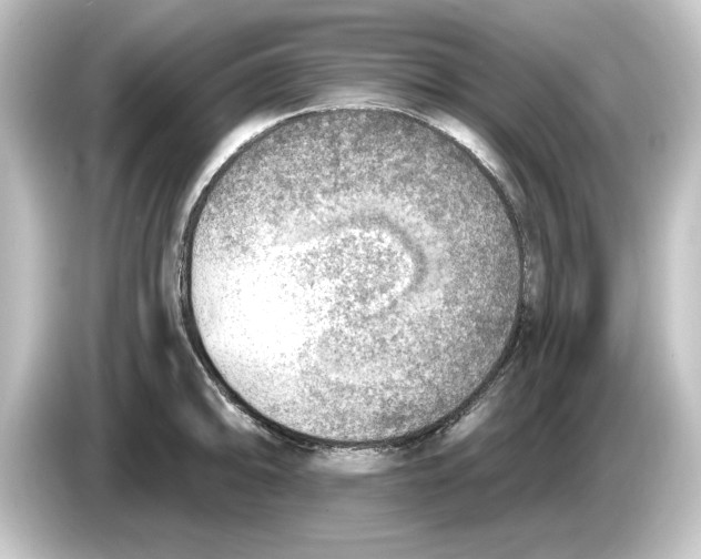 X0000084601094200703161813