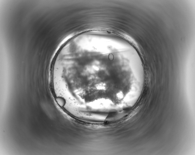 X0000084601095200703161813