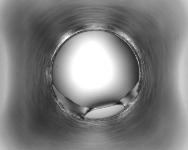 X0000084601097200703161813