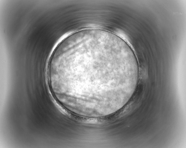 X0000084601098200703161813