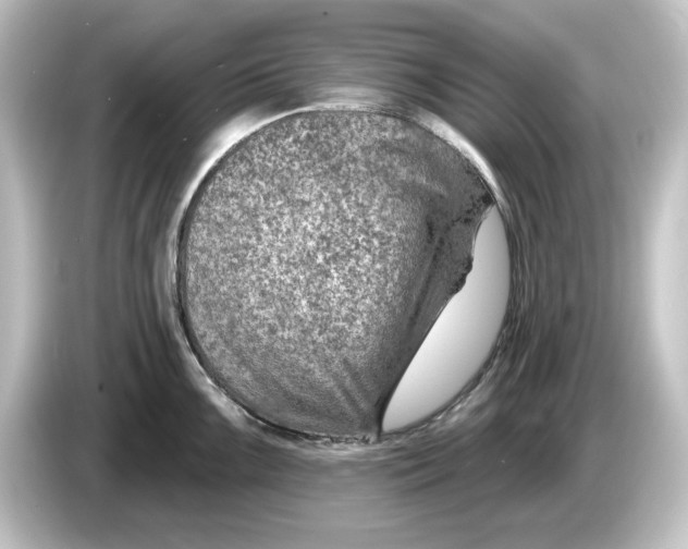 X0000084601099200703161813