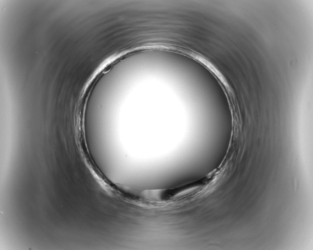 X0000084601101200703161813