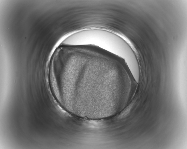 X0000084601102200703161813