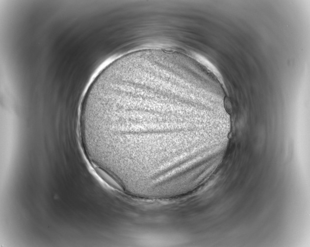 X0000084601103200703161813