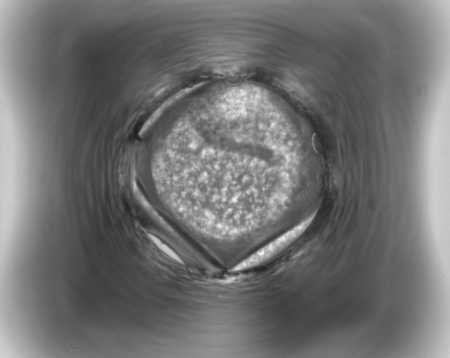 X0000084601106200703161813